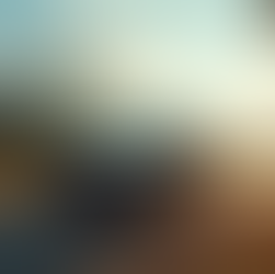 Cómo elegir un seguro de auto adecuado