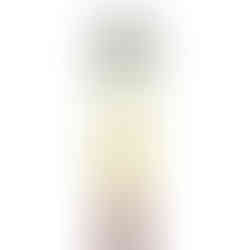 Pro makeup brushes for Beginners