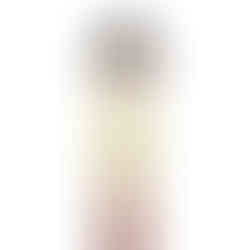 Pro makeup brushes for Beginners