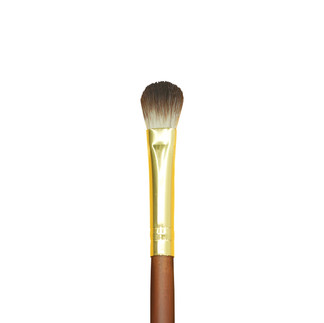 Pro makeup brushes for Beginners