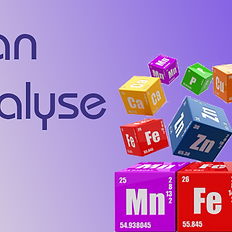 Bilan métaux lourds (OLIGOSCAN)