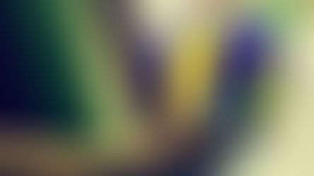 FIN DE SEMANA CON MUCHO VOLEIBOL