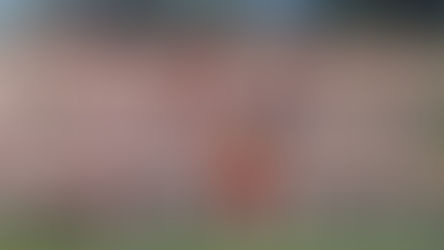 LOS DISTINTOS PLUMAJES DE LOS GALLOS DE AGUASCALIENTES