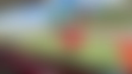 YA HAY FECHA PARA EL INICIO DE LA LIGA DE BALOMPIÉ