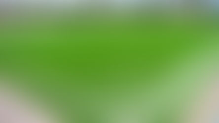 MUNICIPIO PONE A DISPOSICIÓN INSCRIPCIONES VIRTUALES PARA LA COPA AGUASCALIENTES