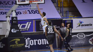 LOS FELINOS NO PUDIERON CON AGUACATEROS