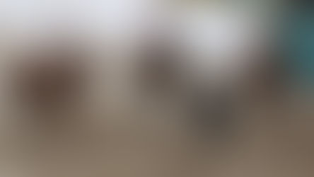 LA TRILLA ES LIDER DEL TORNEO DE LA AMISTAD