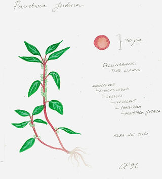 WhatsApp Image 2023-05-01 at 18.33.11 (2).jpeg