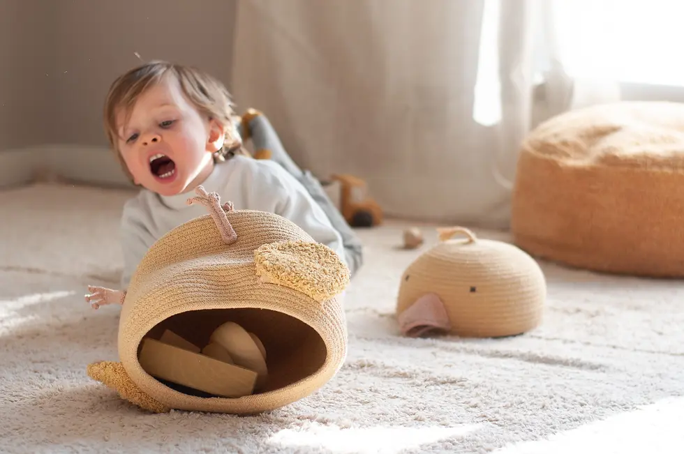 Miniatura: Lorena Canals - Basket Charlie the Chicken