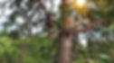 dji_export_20231009_122244_1696850564599_framed 2_edited.jpg