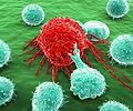 Targeted medicine and immunotherapy
