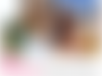 Catherine Warrilow - taking children out of school during term time