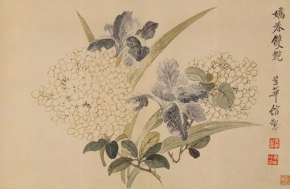 Im Rhythmus der Blüten – Juli: Hortensie PLUS