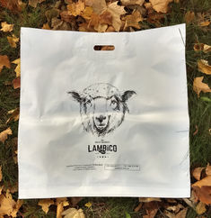 Міцний, великий білий пакет 60×60 см з логотипом, витримує важкі та об’ємні речі.