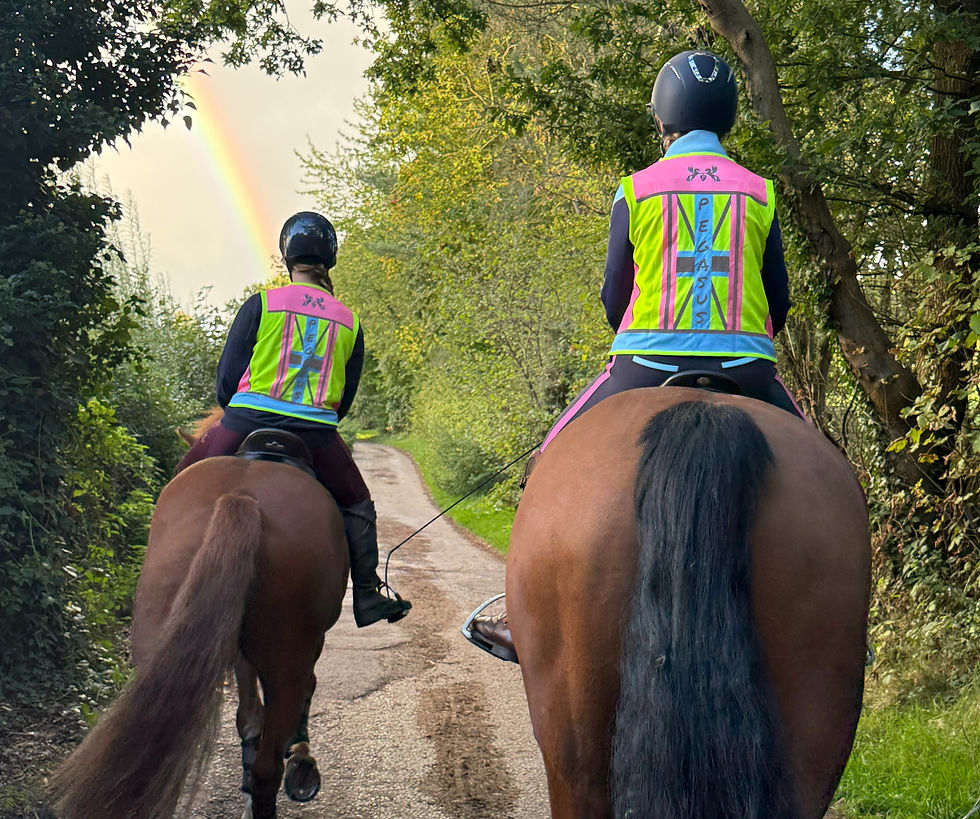 Rider position seen clearly in the saddle with EnVizage