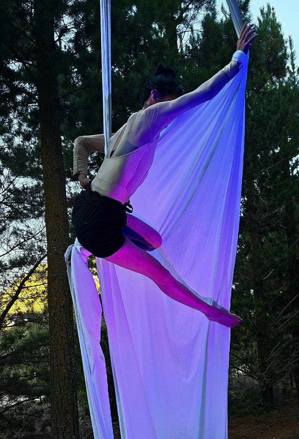 Wanaka Festival of Colour