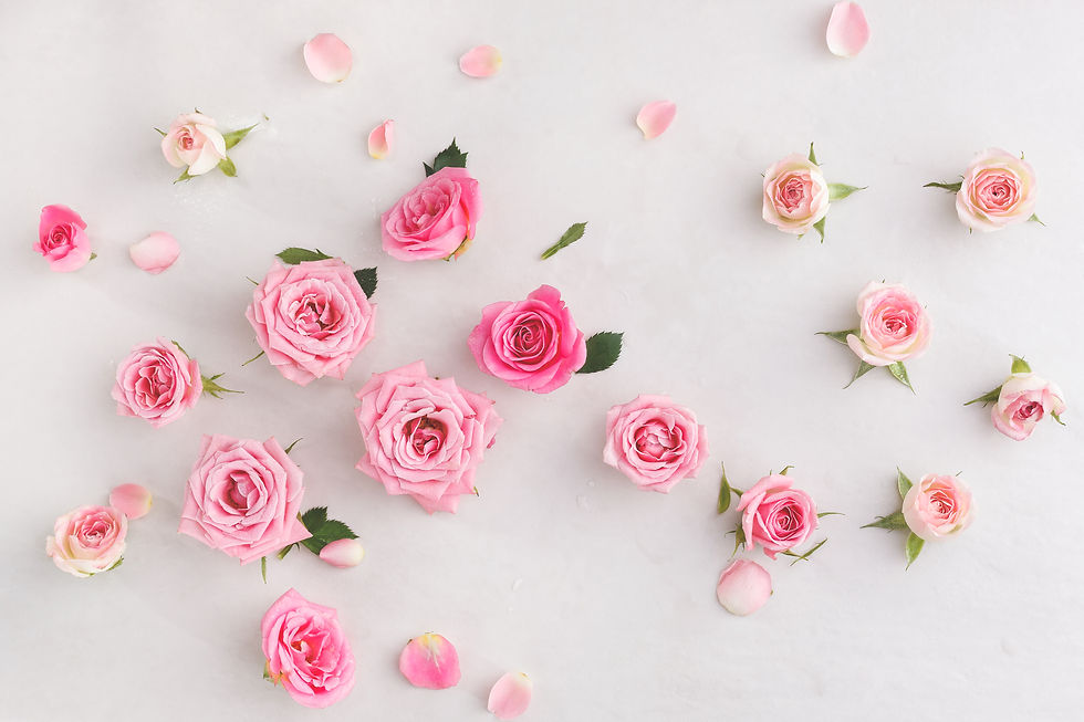 Assorted roses heads. Various soft roses and leaves scattered on a vintage background, o