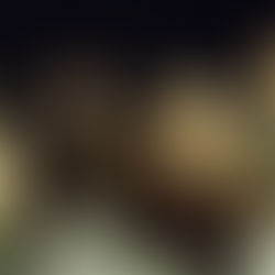 Kim Thayil: confira entrevista do guitarrista do Soundgarden para a Revista Rolling Stone em 2025