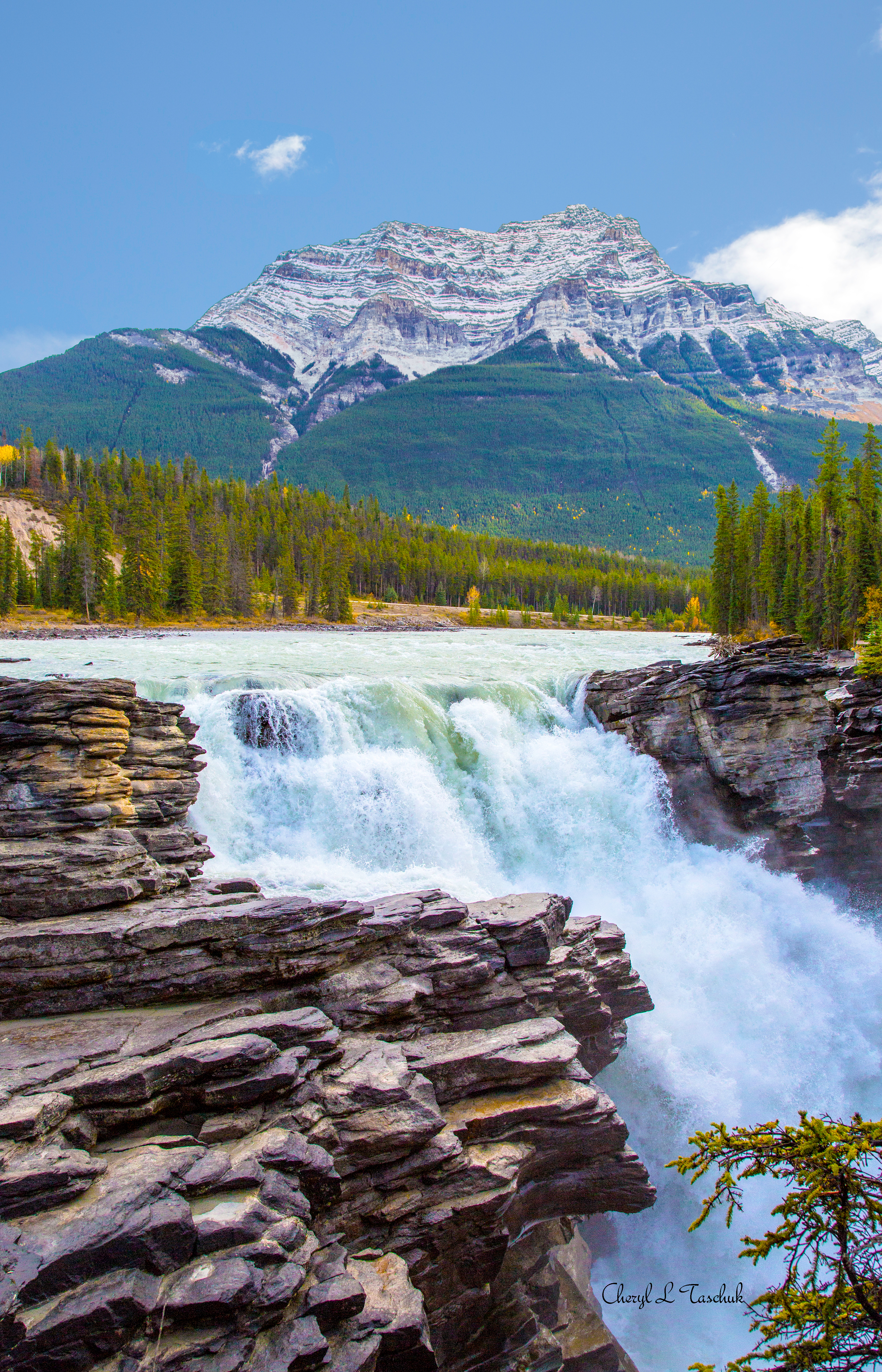 Athabasca Falls