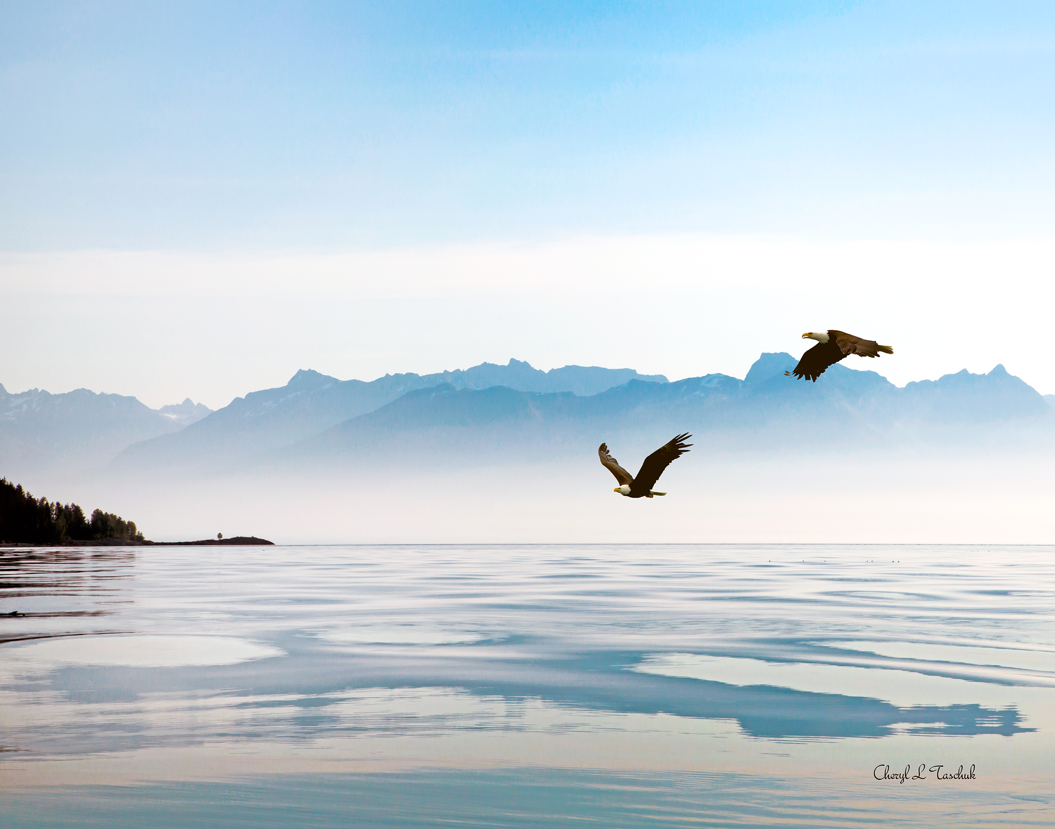 Misty Day in Alaska