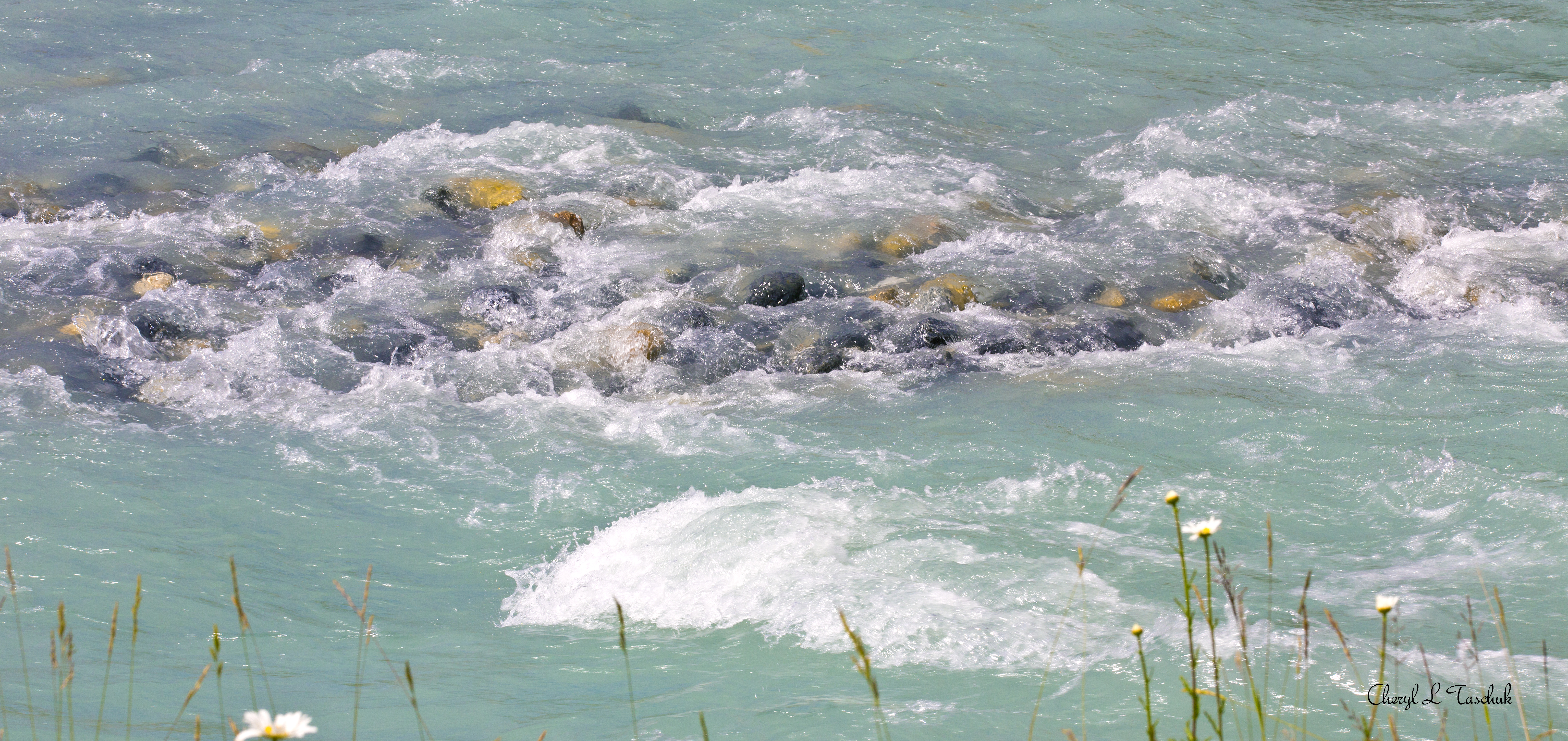 Jasper River