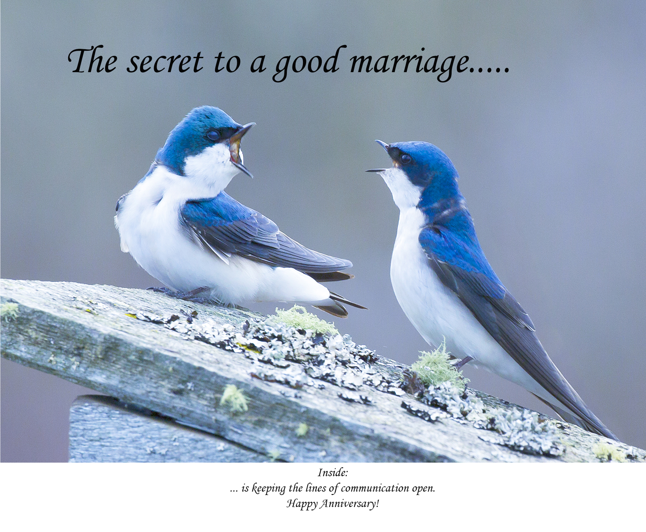 The secret to a good marriage...
