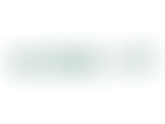 REVITAL LAB CORPORATION