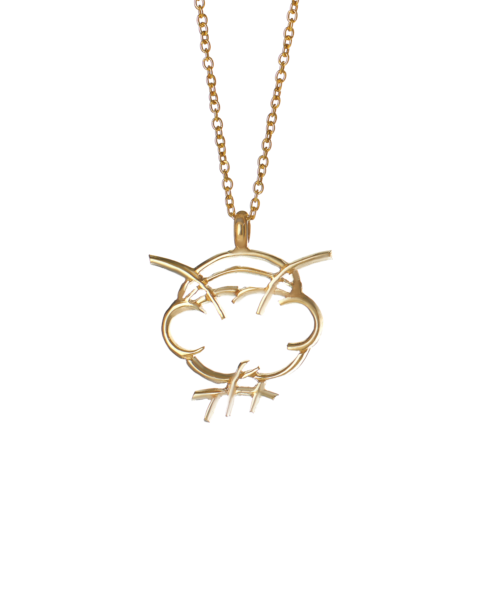 Phylloxera pendant and gold chain