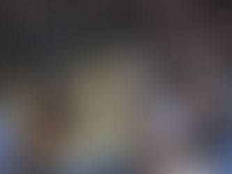 参議院予算委員会で質問4/6「障害児支援等に関する所得制限の撤廃について」