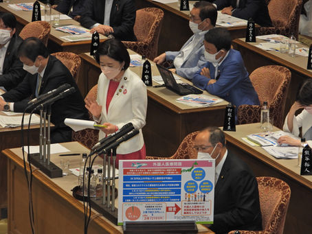 参議院予算委員会で質問3/6「外国人医療問題(民間医療保険加入義務化)について」