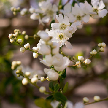 Sophie Frost: Why Therapy Feels Worse Before It Gets Better