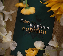 Photo du livre "L'abeille qui piqua Cupidon" prise dans le studio photo