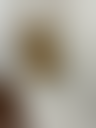 Project: Shower Seat