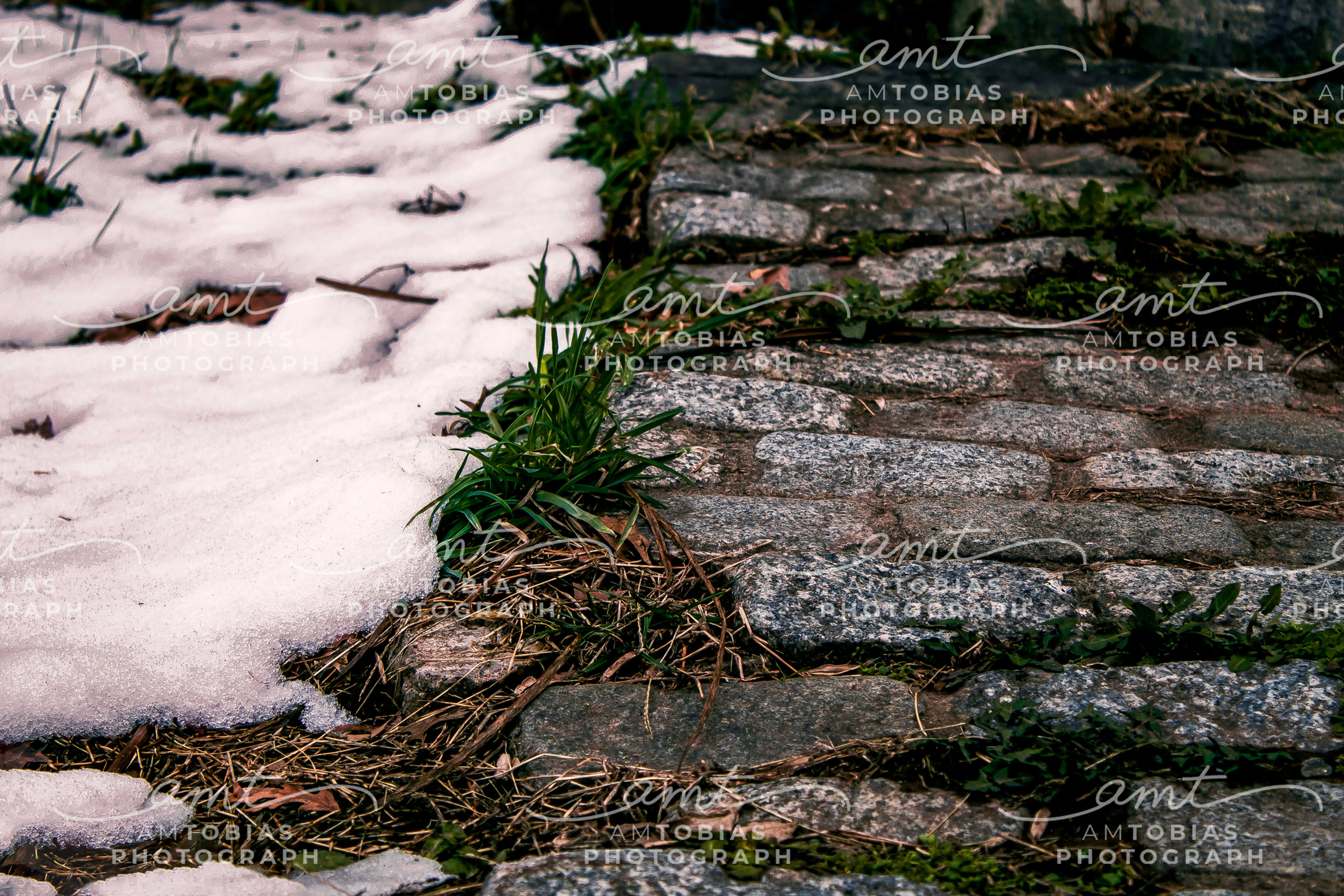 Cracks of Spring