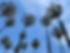 aIMG_2469_edited.jpg