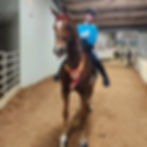 340207569_1266351497634570_6322289139590720557_n_edited