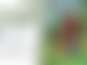 How does being in Nature impact those children challenged with ADHD?