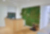 The reception of Orthopedic Movement Physical Therapy, a holistic movement and wellness studio.