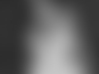 Spring Bridals in the Wildflowers