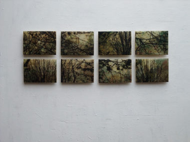 'Dusk' 1-8