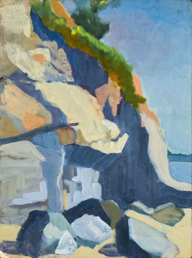 Shark's Cove