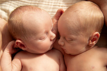 Newborn twin babies peacefully cuddled together, swaddled in soft neutral wraps and lying close with their heads touching in a natural pose.
