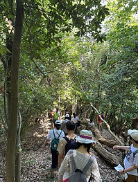 LINE_ALBUM_20240811 ハイキング_摂津峡_240830_6.jpg