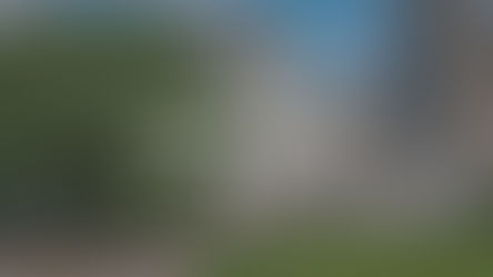 Week in Review August 11, 2025