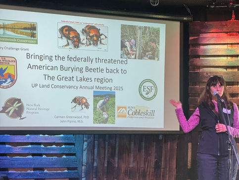 Federal Funding and American Burying Beetles