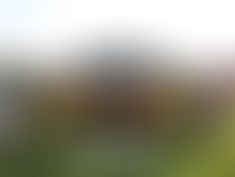 ⚽ ZavaRod presente en la Copa Newton 2025