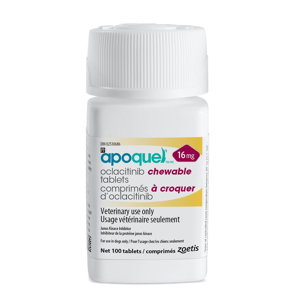 Thumbnail: Apoquel chewable tablets