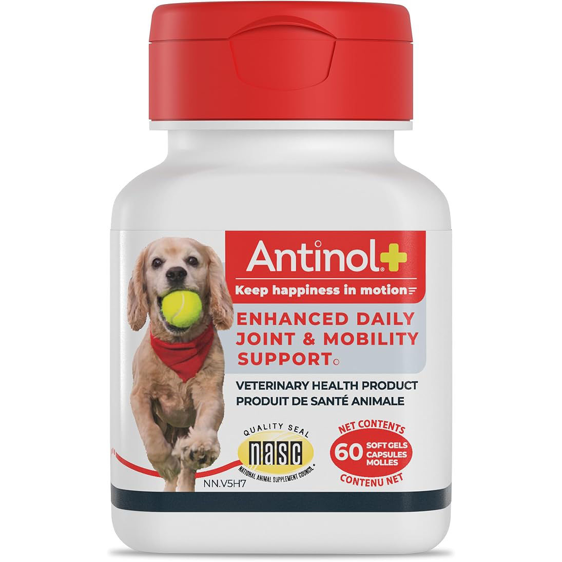 Antinol Plus
