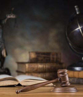 cropped_license_adobestock_241726946.jpeg