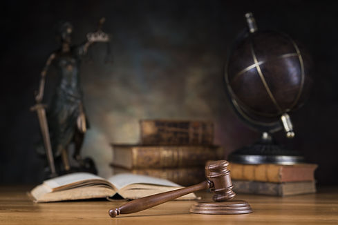 cropped_license_adobestock_241726946.jpeg